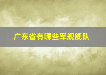 广东省有哪些军舰舰队