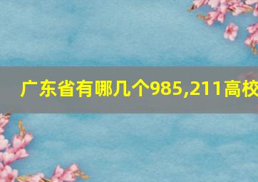 广东省有哪几个985,211高校