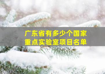 广东省有多少个国家重点实验室项目名单