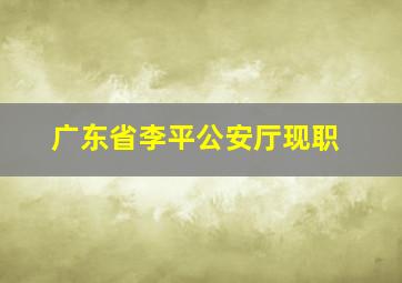 广东省李平公安厅现职