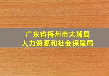 广东省梅州市大埔县人力资源和社会保障局