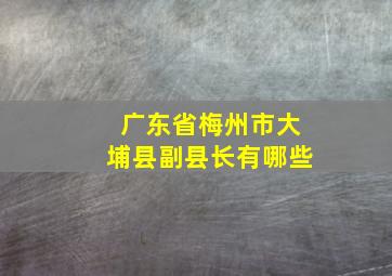 广东省梅州市大埔县副县长有哪些