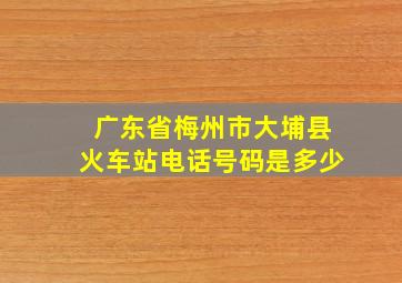 广东省梅州市大埔县火车站电话号码是多少