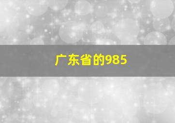 广东省的985