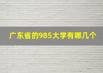 广东省的985大学有哪几个