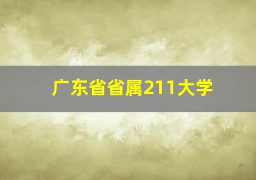 广东省省属211大学