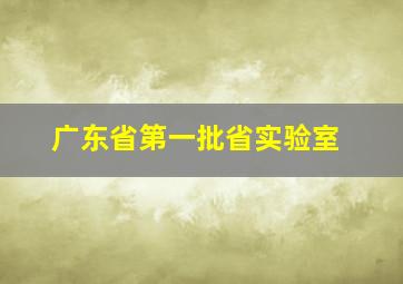 广东省第一批省实验室