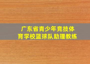 广东省青少年竞技体育学校篮球队助理教练