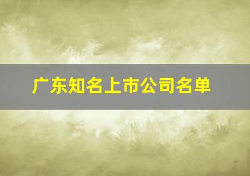 广东知名上市公司名单