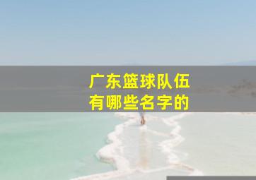 广东篮球队伍有哪些名字的