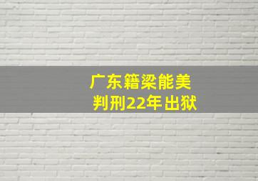 广东籍梁能美判刑22年出狱