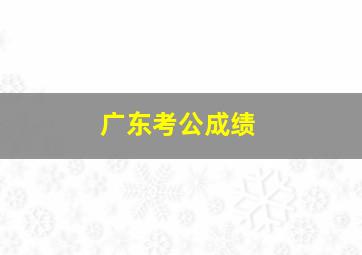 广东考公成绩