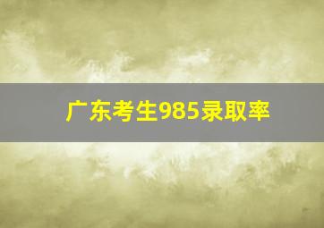 广东考生985录取率