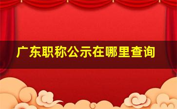 广东职称公示在哪里查询