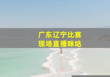 广东辽宁比赛现场直播咪咕