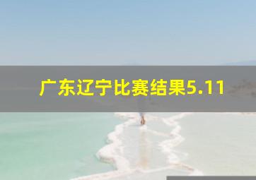 广东辽宁比赛结果5.11