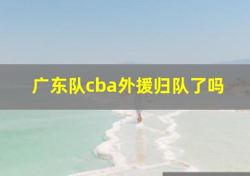 广东队cba外援归队了吗