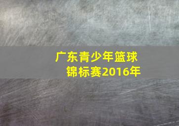 广东青少年篮球锦标赛2016年