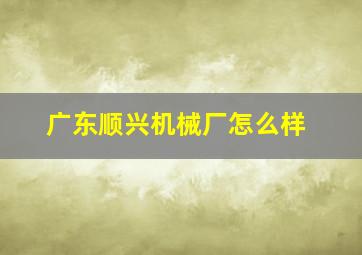 广东顺兴机械厂怎么样