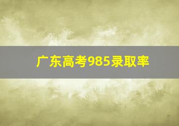 广东高考985录取率