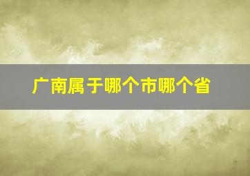 广南属于哪个市哪个省