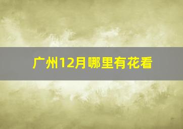 广州12月哪里有花看