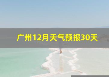 广州12月天气预报30天