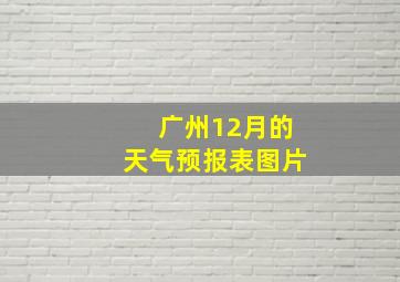 广州12月的天气预报表图片