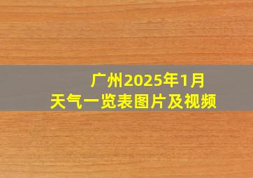 广州2025年1月天气一览表图片及视频