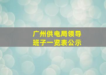 广州供电局领导班子一览表公示