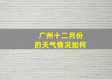 广州十二月份的天气情况如何