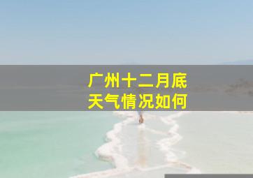 广州十二月底天气情况如何