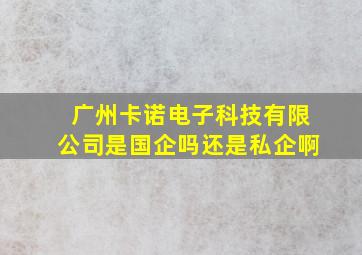 广州卡诺电子科技有限公司是国企吗还是私企啊