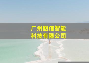 广州图信智能科技有限公司