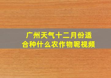 广州天气十二月份适合种什么农作物呢视频