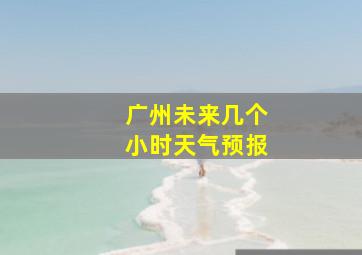 广州未来几个小时天气预报