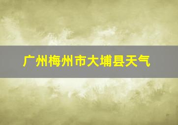 广州梅州市大埔县天气