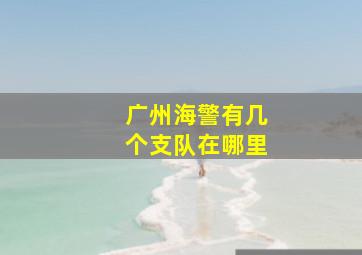 广州海警有几个支队在哪里