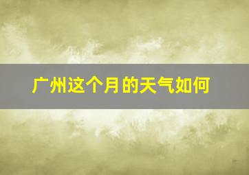 广州这个月的天气如何