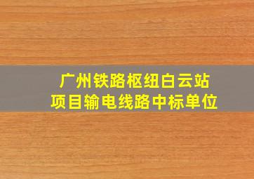 广州铁路枢纽白云站项目输电线路中标单位