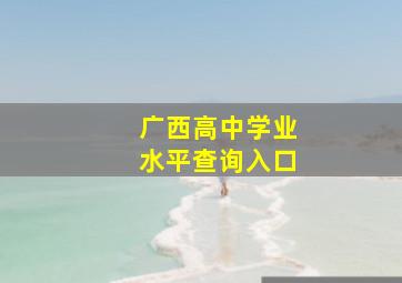 广西高中学业水平查询入口