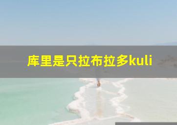 库里是只拉布拉多kuli