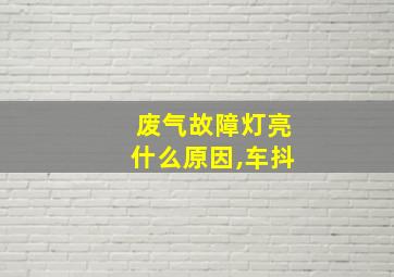 废气故障灯亮什么原因,车抖