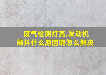 废气检测灯亮,发动机颤抖什么原因呢怎么解决