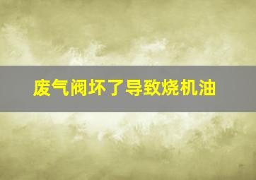 废气阀坏了导致烧机油