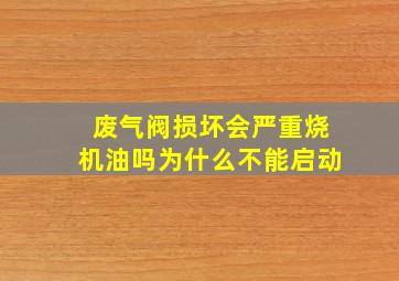 废气阀损坏会严重烧机油吗为什么不能启动