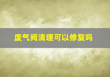 废气阀清理可以修复吗