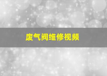 废气阀维修视频