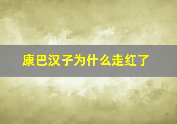 康巴汉子为什么走红了