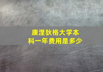 康涅狄格大学本科一年费用是多少